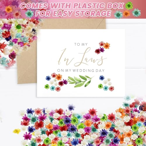 800 PCS Mini Flores Secas para Resina para Manualidades miniatura 7