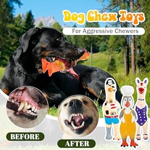 6 Pcs Dog Latex Squeaky Toys Chicken Interactive Dog Toy Charming Pet Squawkers Earl Captain Jack Durable Latex Chicken Dog Toy Soft Rubber Chew Molar Dog Toys for Small Medium Large Dogs  Cucciolini Doodles 6 pcs dog latex squeaky toys chicken interactive dog toy charming pet squawkers earl captain jack durable latex chicken dog toy soft rubber chew molar dog toys for small medium large dogs   cucciolini doodles