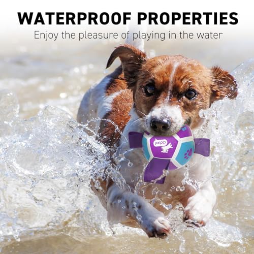 Image of QDAN Small Dog Toys, Puppy Balls, Dog Balls with Straps for Small Breed | 3.5 Inch Small Soccer Ball for Dogs, Puppy Toys for 3-15 lbs Dogs, Dog Birthday Gift, Herding Ball for Small Dogs, Purple