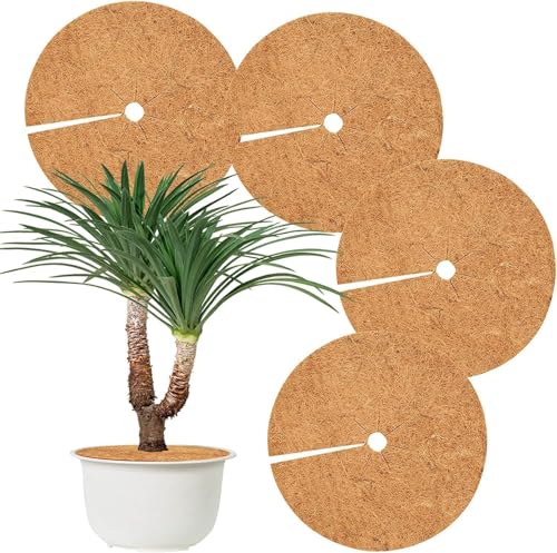 Hydrogarden 4 Stück Kokos Mulchscheibe,Ø45cm Winterschutz Kokos,Kokosscheibe,Winterschutz für Kübelpflanzen,Kokos Pflanzenschutz,Kübelabdeckung Frostschutz,Frostschutz Kälteschutz für Pflanzen