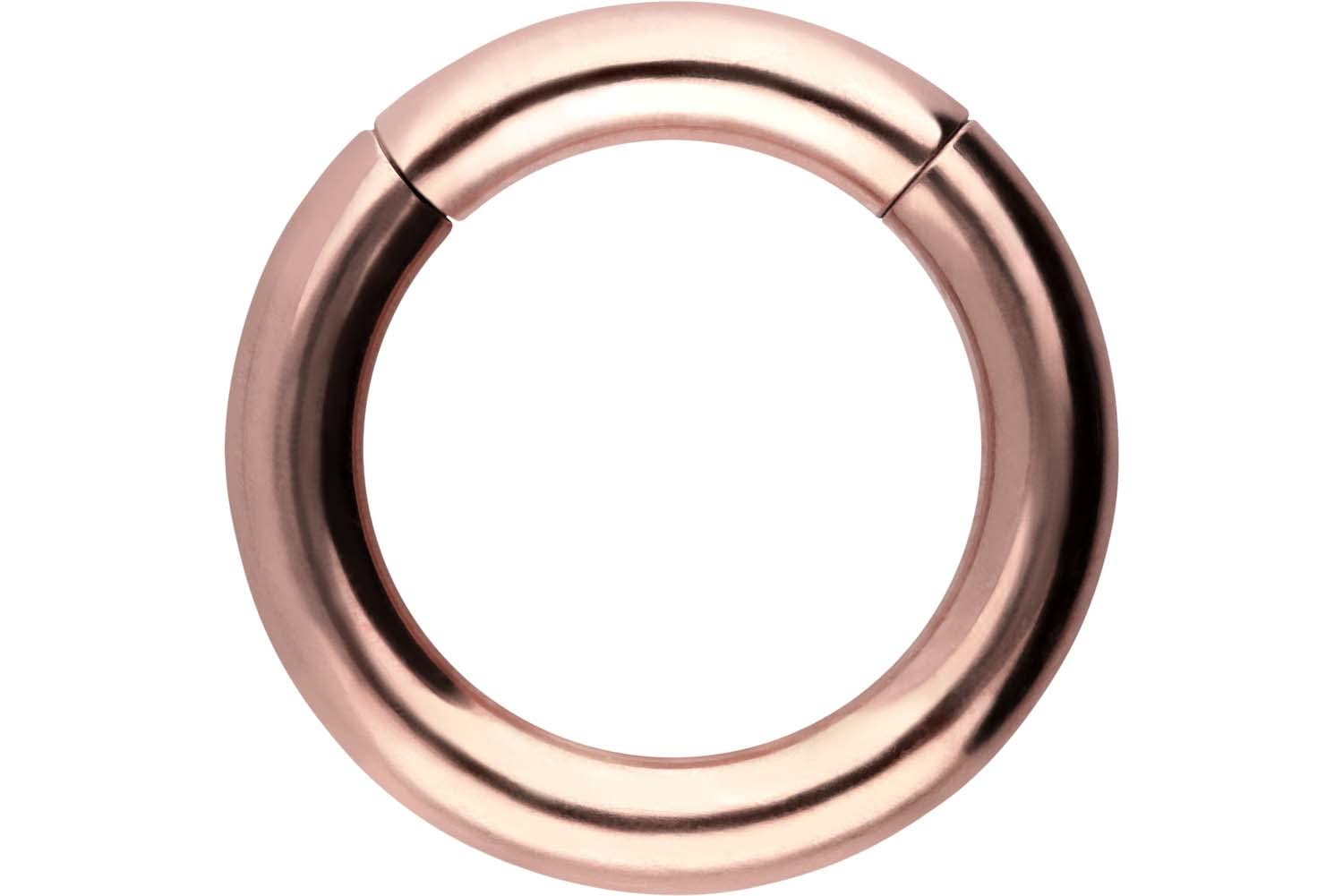 PIERCINGLINE Anillo segmento Clicker de acero quirúrgico – Piercing en oro, plata, rosa, negro o azul – para nariz, tabique, oreja, hélice o tragus — view 146