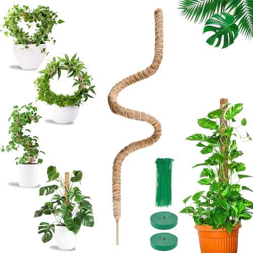 COZCLAM Tutores para Plantas, 1 Unidades de 160 cm en Fibra de Coco