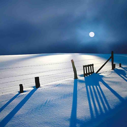 Our Blue Planet 2018 (Mindful Editions)