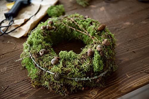 Fresh Sphagnum Moss- 500g/1kg - Natural Sphagnum Moss Ideal for Terrariums, Live Plant Displays and Wreaths (500g)