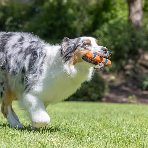 Image of Chuckit! Interactive Dog Toy Ultra Fetch Stick Day & Night Bundle, 12 Inches, Outdoor, Pack of 2