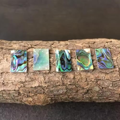YJIUYUANQ Musical Instrument Accessories Natural Zealand Abalone Shell Sheet,DIY Home Crafts Decoration Materials DIY Necklace Earring Jewelry Making,13x13x1mm,20 Pices