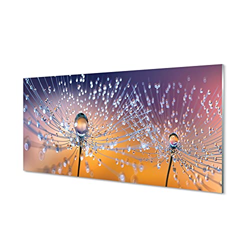 Impression sur verre Tulup 100x50 cm de pissenlit pour décoration murale