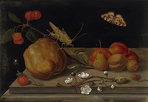 Poster Peinture Nature morte fruits sauterelle Maria Sibylla Merian 60x90cm