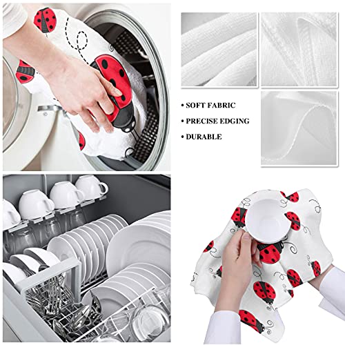 Big Buy Store Red Ladybug Kitchen Dish Towels Set Of 2, Soft Lightweight Microfiber Absorbent Hand Towel Nature Insect Print Tea Towel For Kitchen Bathroom 18X28In #TOP4