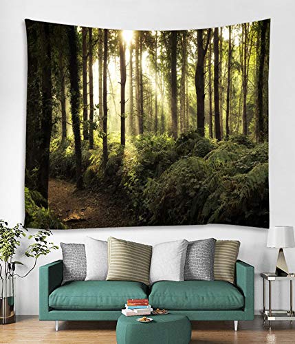 Tapisserie polyester imperméable pour habiller et protéger un grand mur