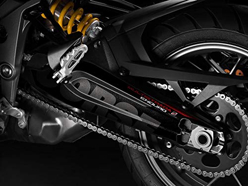 Kit di decorazione e protezione forcellone Ducati