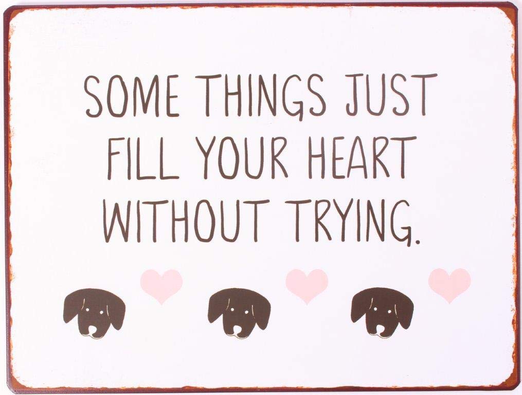 Sign - Some things just fill your heart without trying