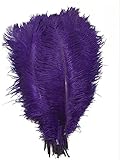 KOLIGHT®30pcs Ostrich Feather Purple 12"-14" Natural Feathers Wedding, Party,Home,Hairs Decoration