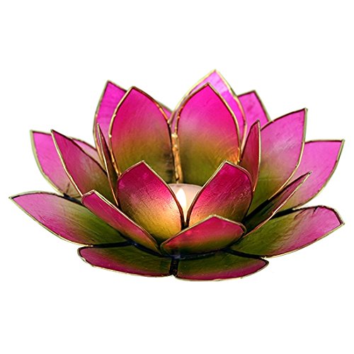Photophore Lotus En Coquille De Capiz Naturel - Pour Bougie Chauffe-plat - Décoration Romantique Intérieur/extérieur - 2
