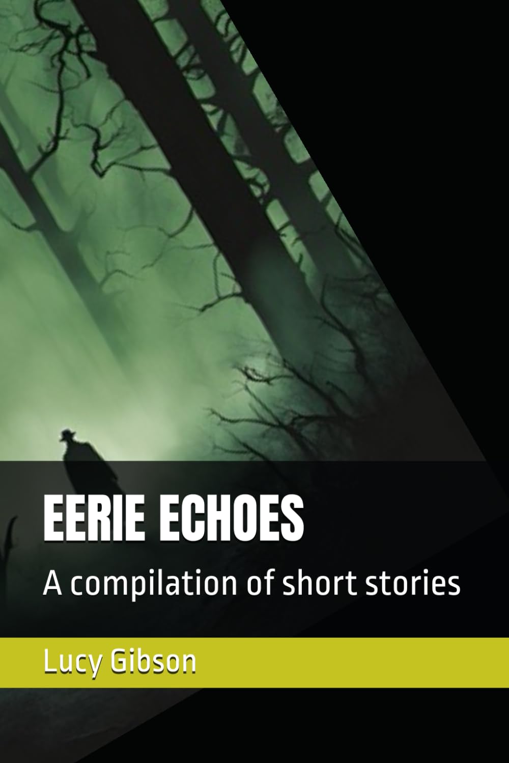 EERIE ECHOES: A compilation of short stories