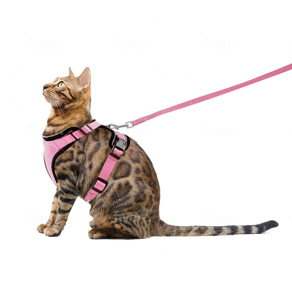 NeoStore Arnes Gato Antiescape - Arnés para Gato Ajustable con Correa de Regalo - Accesorios para Gatos (XS, Rosa)