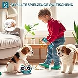 LIFLIX Hundespielzeug Kleine Hunde - 4 Stück Welpenspielzeug Kleine Welpen - Interaktives Kauspielzeug Hundeball und Quietschspielzeug- Eulen Form