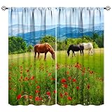 JESTRONRY Western Horse Curtains, Farm Wild Animal Horses Rustic Country Window Drapes for Living Room...