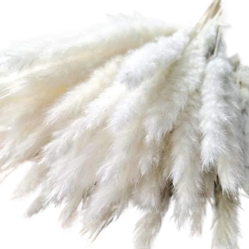 Pampas Grass Large 15pcs Decoración Artificial miniatura 3