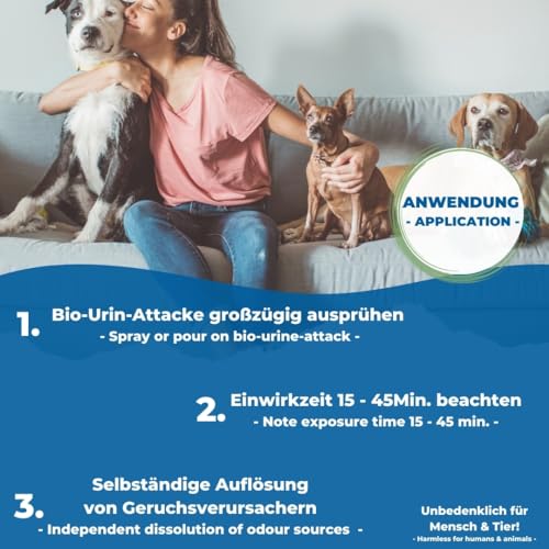 PandaCleaner Bio Urin Attacke gegen Katzenurin Hundeurin & Tiergerüche - Mittel gegen Katzenurin - 1000ml Konzentrat zum Uringeruch entfernen - Mikroorganismen Reiniger