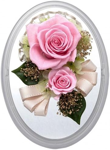 Millennium Art Oval Dome Clear/Pink SD7211CP