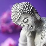 Buddha's Lounge