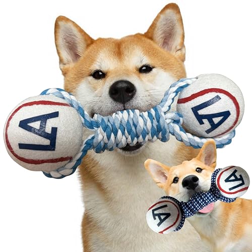 Stylish  [v  T[XX^C   f^gC _x^ ejX{[ tFb`Ή 싅fUC SΉ (F, 1)