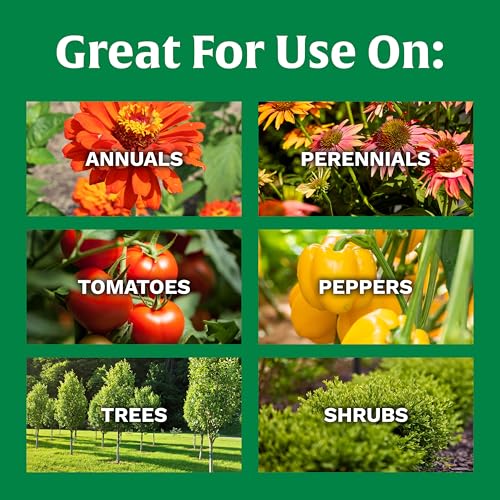 Scotts All Purpose Flower and Vegetable Continuous Release Plant Food, For Outdoor In-Ground Plants, 3 lb. - Image 6