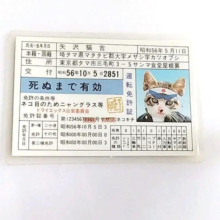 淡路 AWJ カーボンシャフト 10山 試打ちのみ 2025年最新】awj