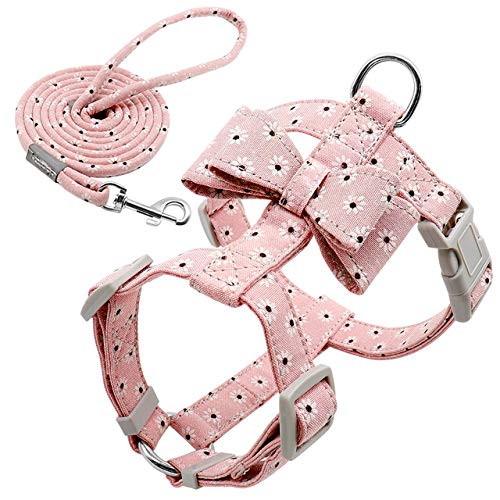 Collari Con Guinzaglio Per Cani | Acquisti Online Su