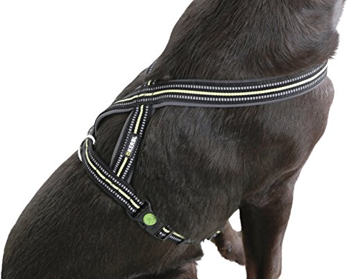 Kerbl Pet Geschirr Xenos 20mmx40-60cm, schwarz/Neongelb