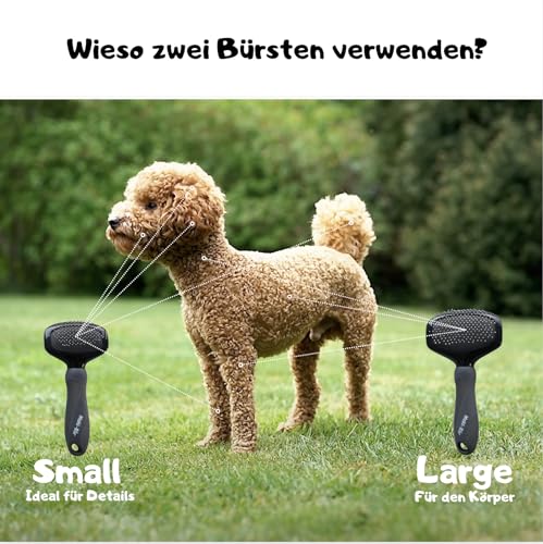Moki Bär Softbürste Hundebürste Pudel mit Schutznoppen für besonders empfindliche Tiere I Ideal für Nicht haarende Hunde I Small