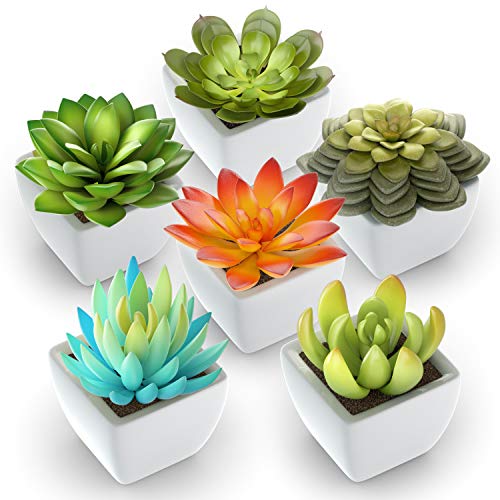 Pack of 6 - Mini Fake Succulents Artificial Plants - Ceramic White Potted