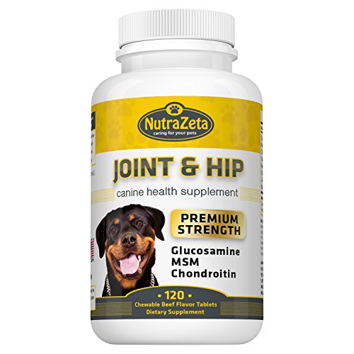 Premium 800mg Glucosamine for Dogs Hip & Joint Supplement - 120 Chewable Tabs with Glucosamine Chondroitin MSM Vitamins - Best Dog Joint Care - Aids Mobility - Made USA - 100% Guarantee