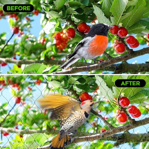 Image of FEED GARDEN Garden Netting 7FT x 25FT for Raised Beds, Heavy Duty Bird Netting & Deer Fence with 3 /4 Inch Mesh, UV Resistant Garden Cover for Strawberries, Vegetables, Flowers and Garden Plants