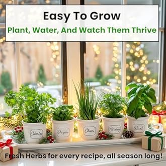 5 Herb Seeds Variety Kit, Oregano, Cilantro, Parsley, Basil, Chives