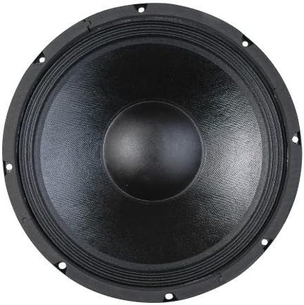 Pro Audio 12" Replacement Woofer for PA, DJ, Guitar Speaker 350W Peak