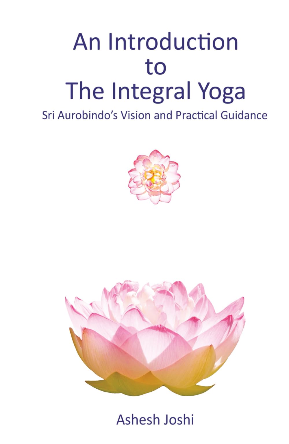 An Introduction to the Integral Yoga: Sri Aurobindo's Vision and Practical Guidance