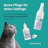 KATZENPFLEGE24 Ohrentropfen für Katzen gegen Ohrmilben, Juckreiz & Ohrentzündungen 50ml - Natürliche Sofortwirkung inkl. sanfter Ohrenpflege für Katzen - Ohrmilben Katze