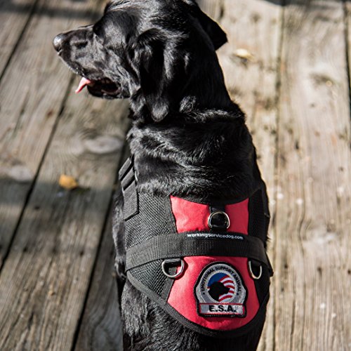 Premium Emotional Support Dog Vest | Esa Dog Vest | Mesh Cooling Panel | Emotional Support Dog Harness | Includes 5 Federal Law Esa Handout Cards (37 - 42" Girth, Red) #TOP6