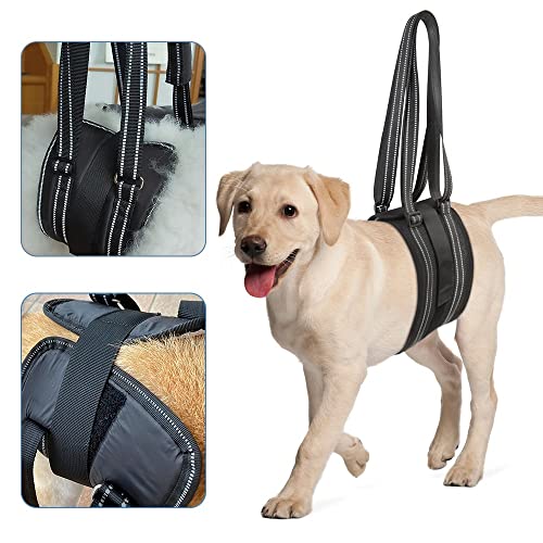 Imbracatura Supporto per Cani,Pettorina di