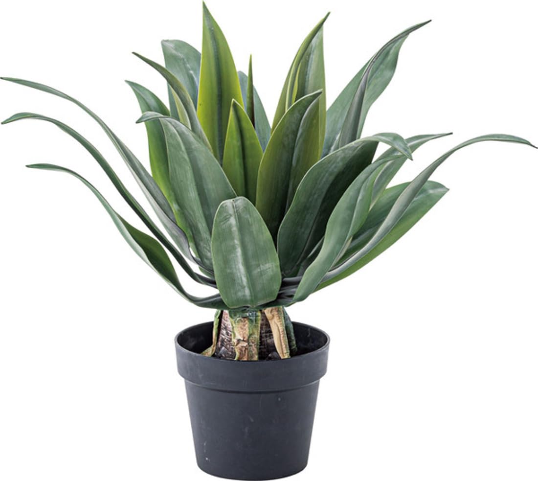 Amazon｜フェイクグリーン アガベ 観葉植物 人工観葉植物 造花