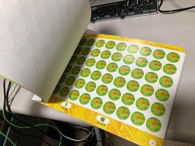 Amazon.co.jp: はらぺこあおむし 音声ペン 16GB DIYシール付き