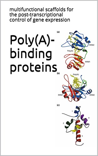 Poly(A)-binding proteins: multifunctional scaffolds for the post-transcriptional control of gene expression (English Edition)