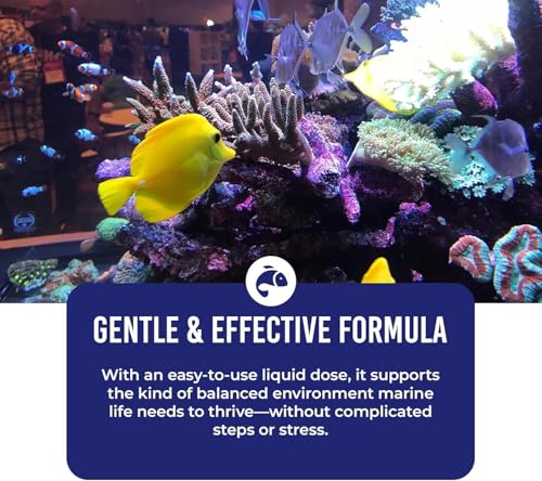 Image of DrTim's Aquatics One and Only Saltwater (DrTim's Aquatics One and Only Saltwater 2oz)