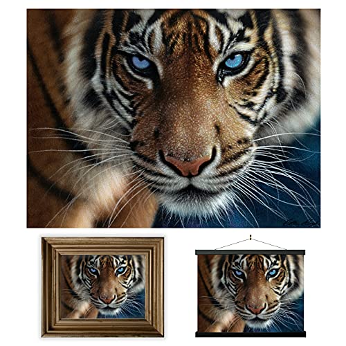 3D LiveLife Affiche Murales Lenticulaires Yeux Bleus de Deluxebase. Poster Tigre 3D sans Cadre. Décoration Murale Parfaite. Oeuvre Originale sous Licence de l'Artiste Renommé, Steve Sundram