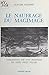 Le naufrage du magimage