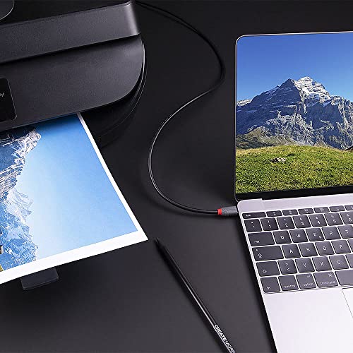 LINDY 1m USB 3.1 Cable, USB-C Male to USB-B 3.0 Male Type B, for MacBook Pro/Air, External Hard Drive, Scanner, Printer - Image 4