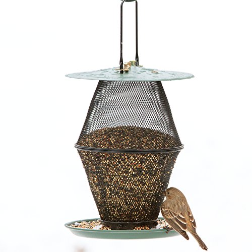 Perky-Pet - Alimentatore lanterna per le sementi