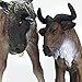 TOYANDONA 1pcs African Wildebeest Model Toy Farm Animals Cow Figurine Cow Plastic Animals s s for Toddlers Home Decor Simulation Wild Animal Decor